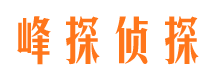 西湖找人公司